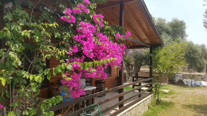 datça bungalov