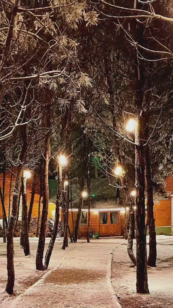 Çampınarı Doğa Evleri Mengen - Bolu