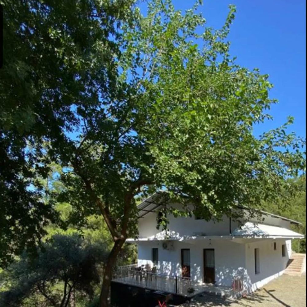 İztuzu Doğa Evleri - Muğla bungalov fotoğrafı 1