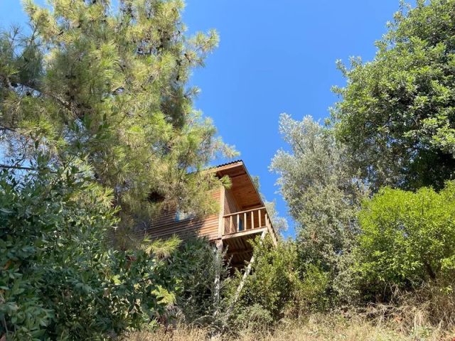 Güneş Holiday - Muğla bungalov fotoğrafı 4