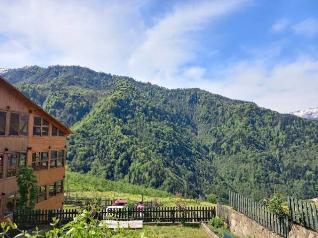 Macahel Greenroof Otel - Artvin bungalov fotoğrafı 4