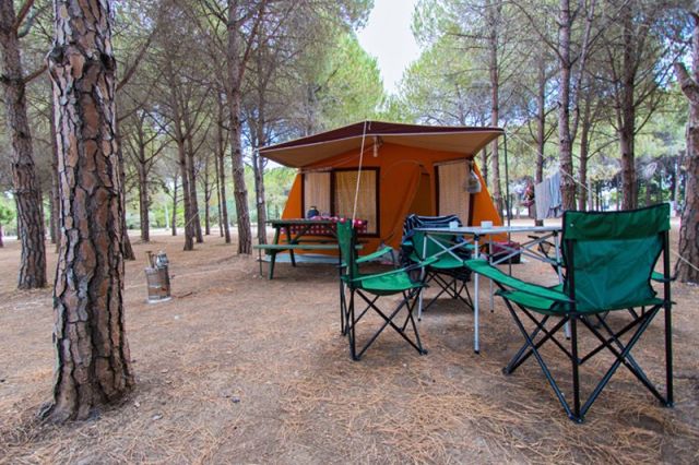 Tavşanburnu Tabiat Parkı - Aydın bungalov fotoğrafı 2