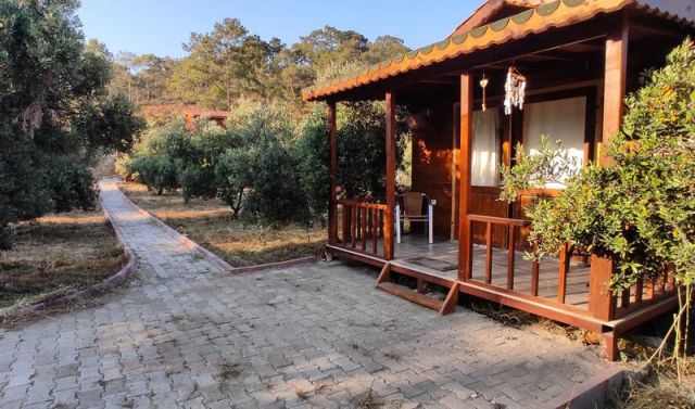 Olive Garden Bungalow - Muğla bungalov