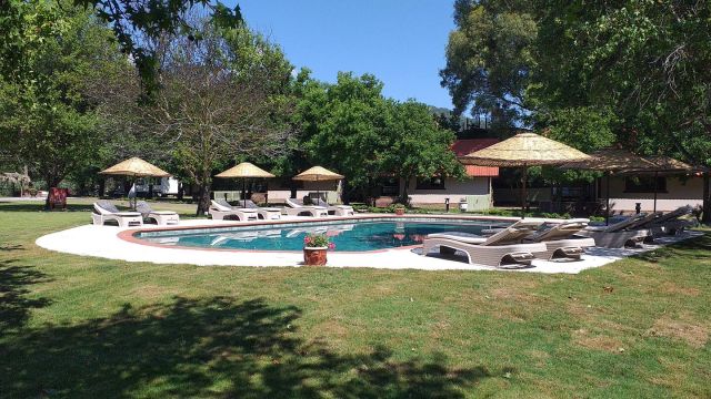 Gaia Koru Bungalows - Muğla bungalov fotoğrafı 4