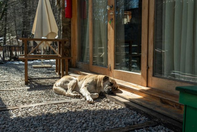 Hindiba Doğa Evi - Bolu bungalov fotoğrafı 3