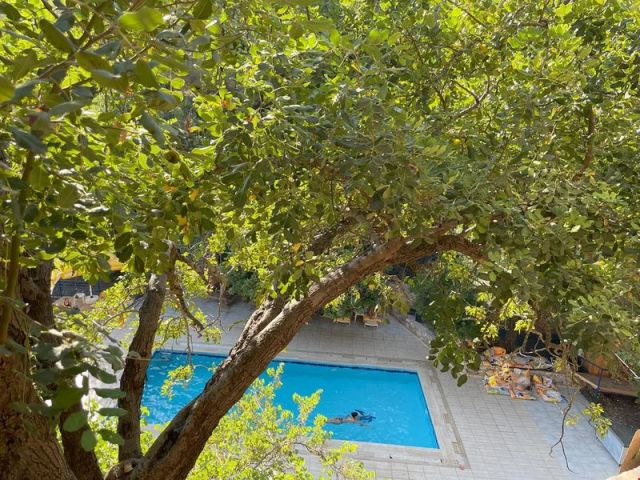 Güneş Holiday - Muğla bungalov fotoğrafı 2