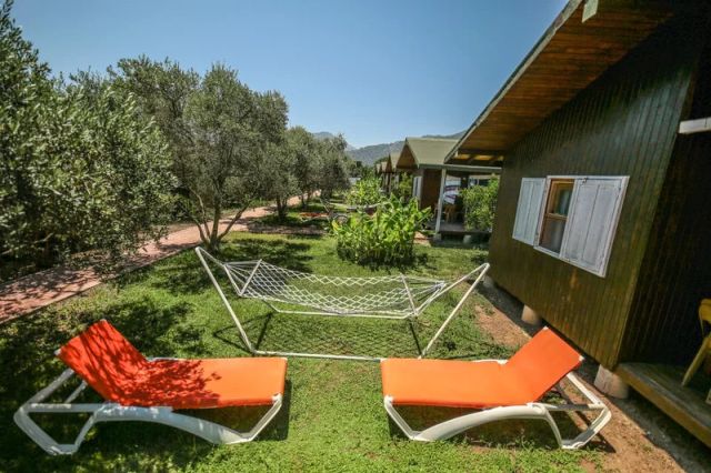 Çıralı Zakkum Bungalow - Antalya bungalov fotoğrafı 5