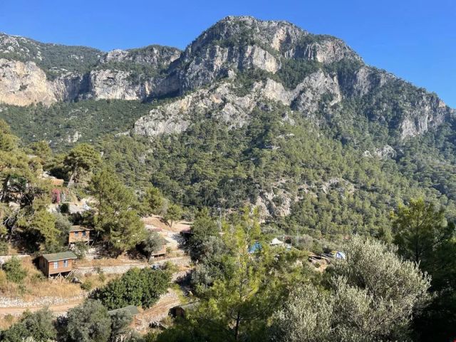 Güneş Holiday - Muğla bungalov fotoğrafı 3