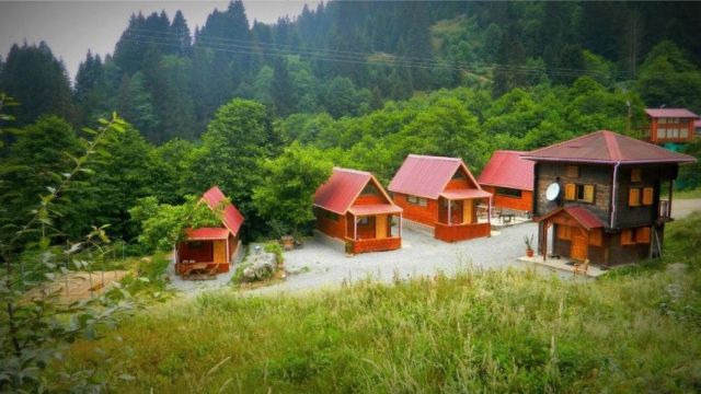 Ayder Şelale Dağ Evleri - Rize bungalov fotoğrafı 4