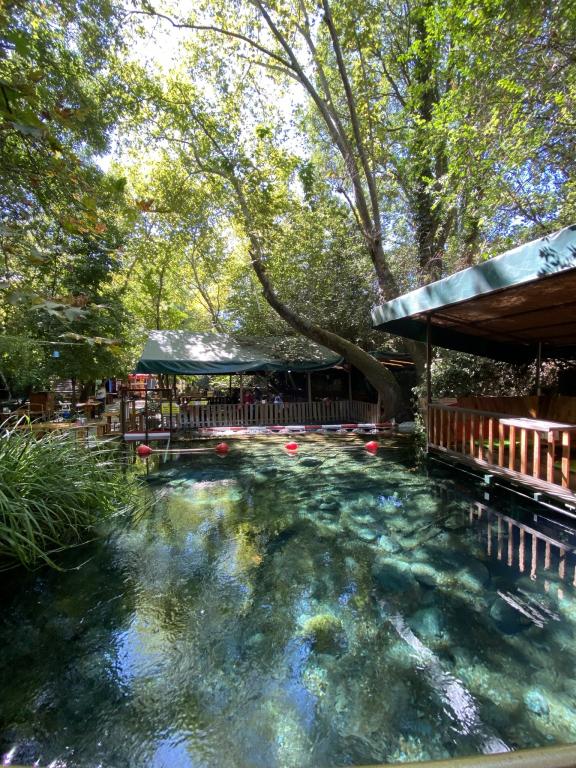 Yuvarlakçay Çınar Butik Otel - Muğla bungalov